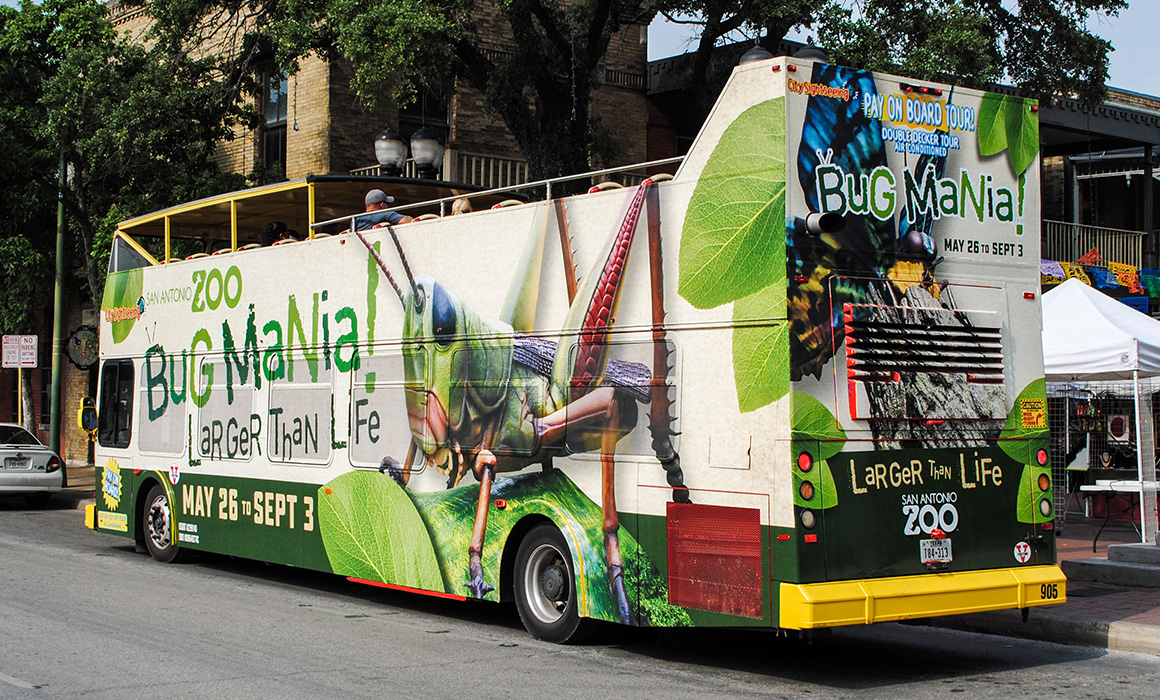 SAZ-Bus-BugMania