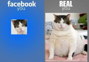 Facebook you x Real you
